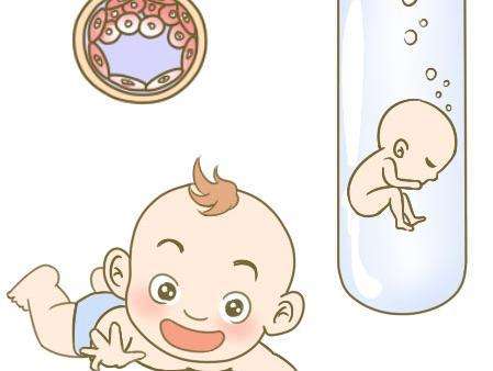 私人同性供卵代孕报价多少